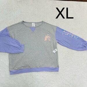 Walt Disneyland Sweatshirt with Holographic Details Cinderella Cast NWT.